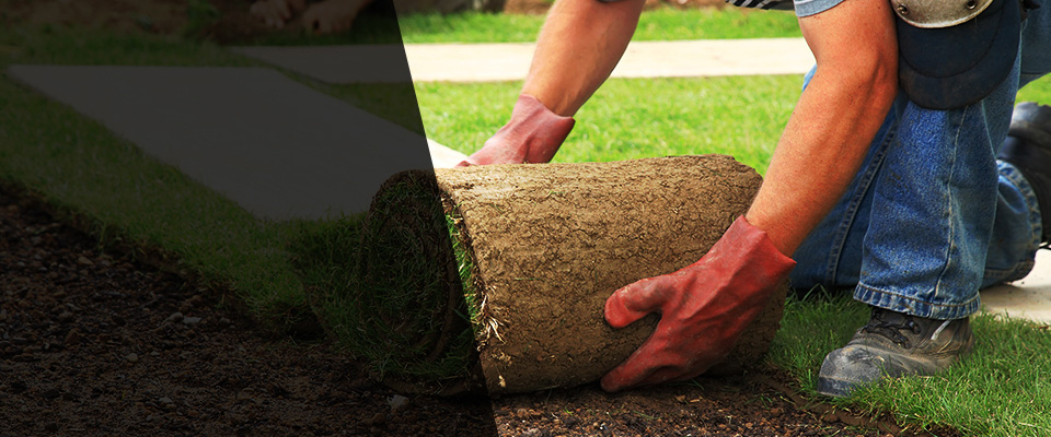 Shallotte Landscapers